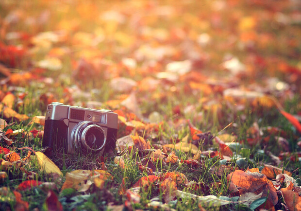 Красивые Осенние Фото В Инстаграм