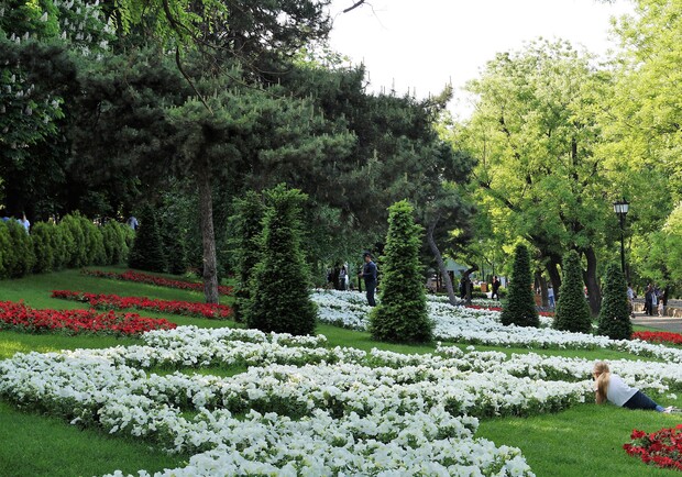 Прогулка голышом по центру Одессы фото