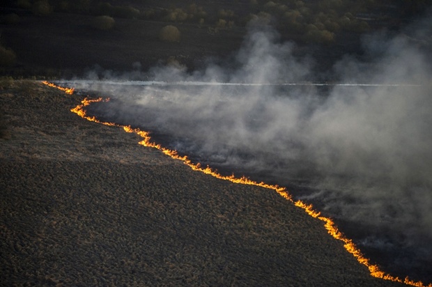 Фото Reuters