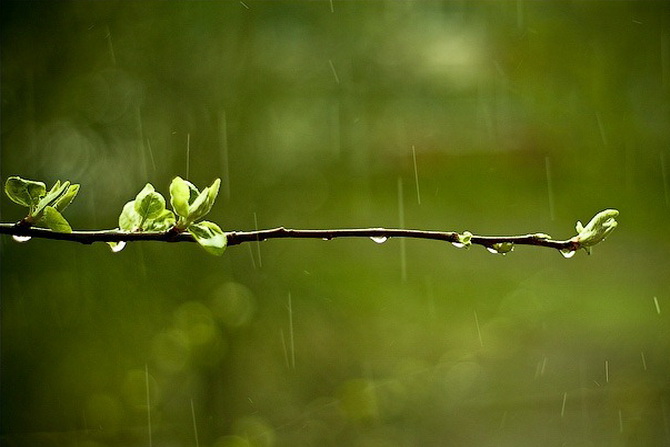 Фото: hekievtimes.ua