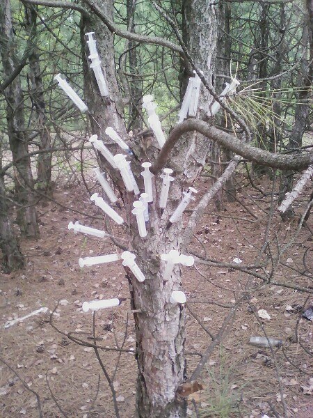 Фото паблика "Типичное Запорожье"