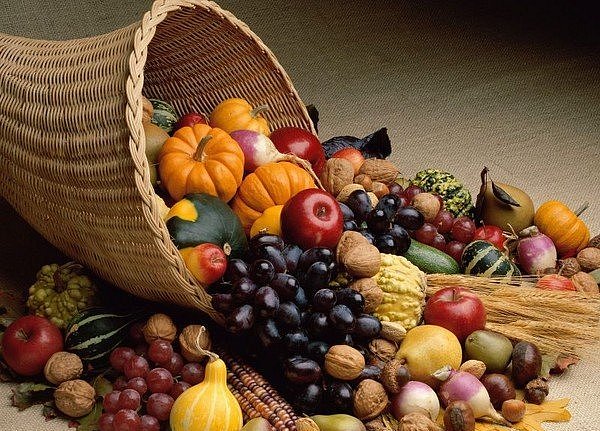 Горожане смогут поделится своим урожаем с Детскими домами Запорожья.