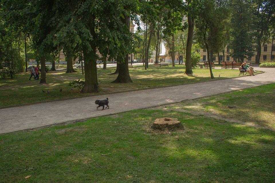 фото з сайту zaxid.net