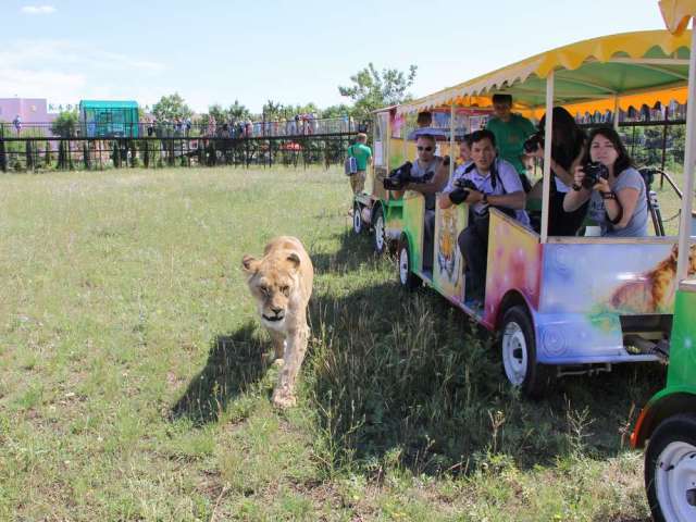 ukraine safari park