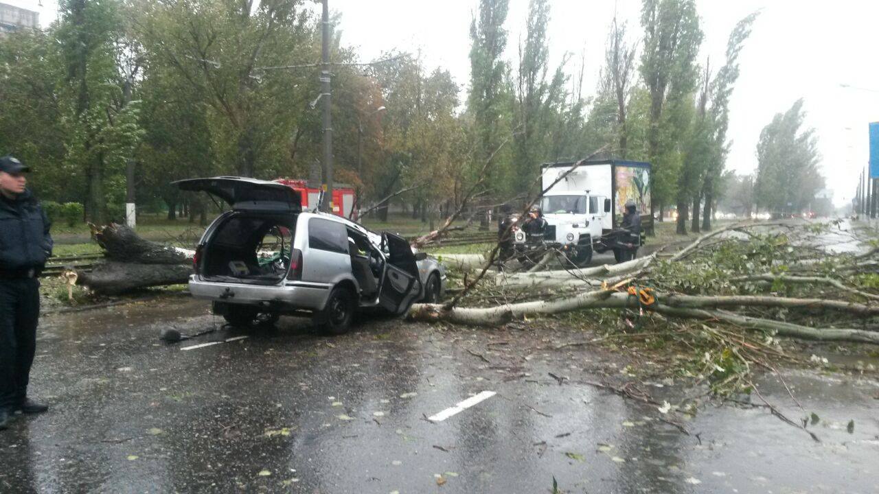 Еще одна жертва: мужчину прямо в машине убило деревом - Одесса Vgorode.ua