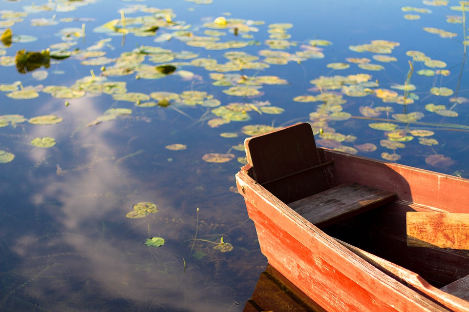 Фото: pixabay.com