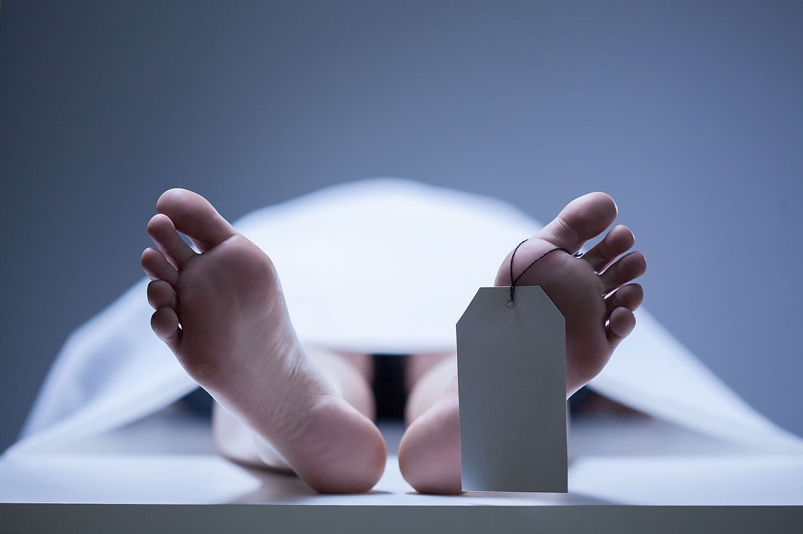 Фото: shutterstock.com
