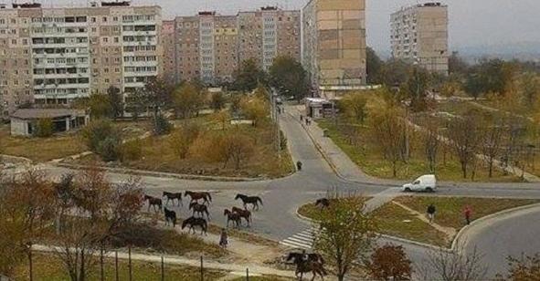Фото: iz.com.ua