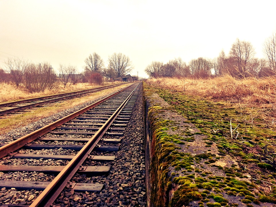 Фото: pixabay.com
