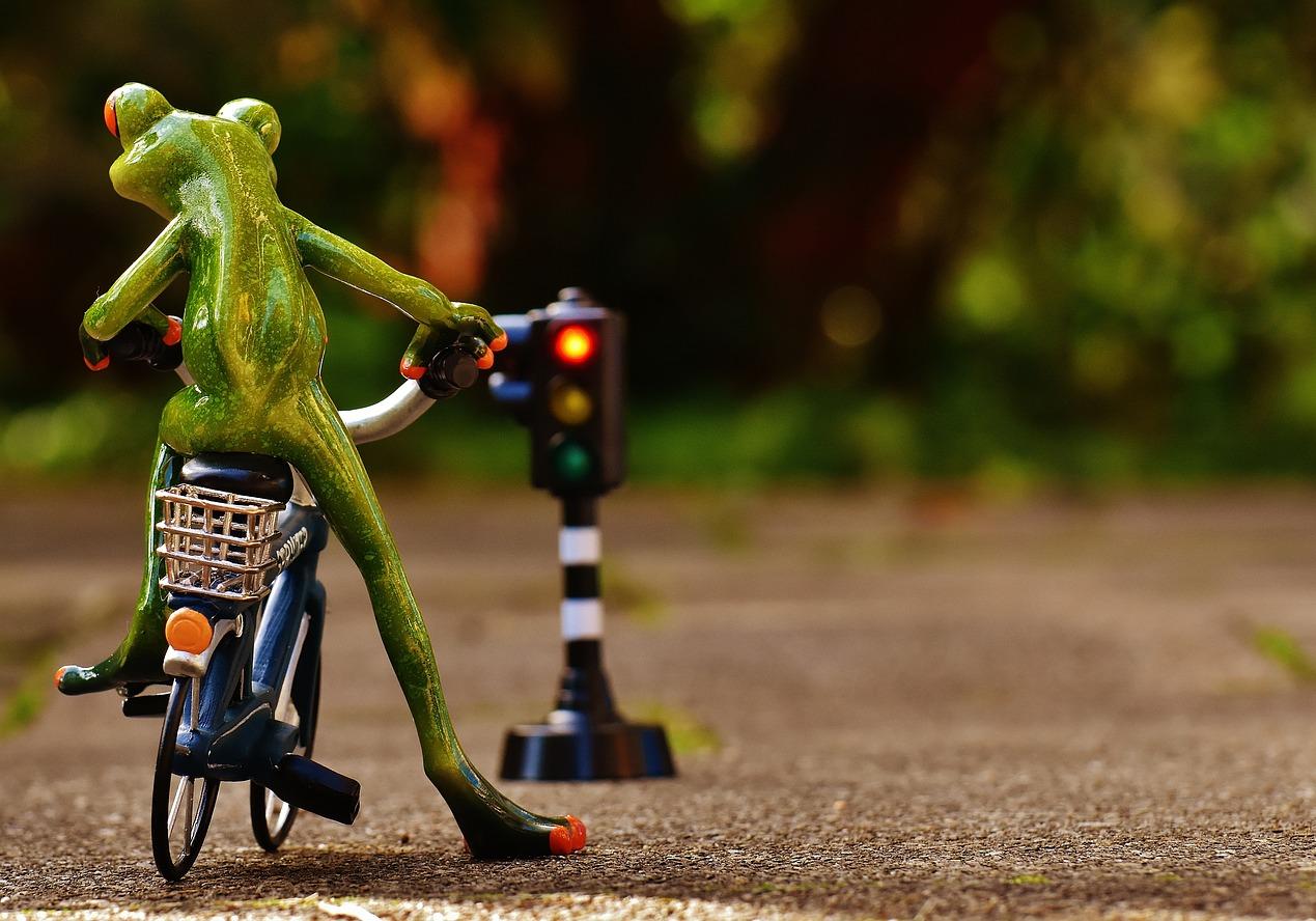 Фото: pixabay.com