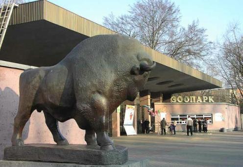 Только за последние месяцы в столице Украины погибли бизон, амурский тигр, медведь, зебра, броненосец, 13 крупных пернатых и лошадь Пржевальского. Фото: focus.ua