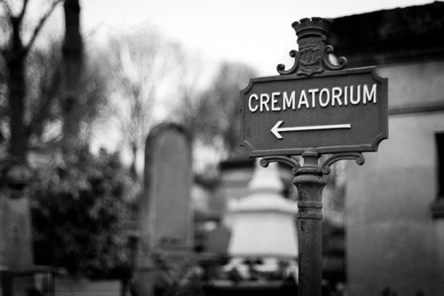 Фото tumblr.com