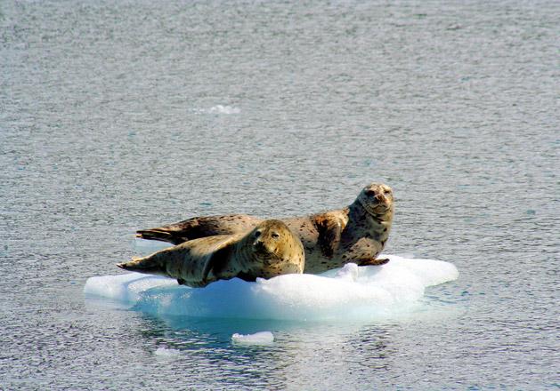 Фото gismeteo.ru