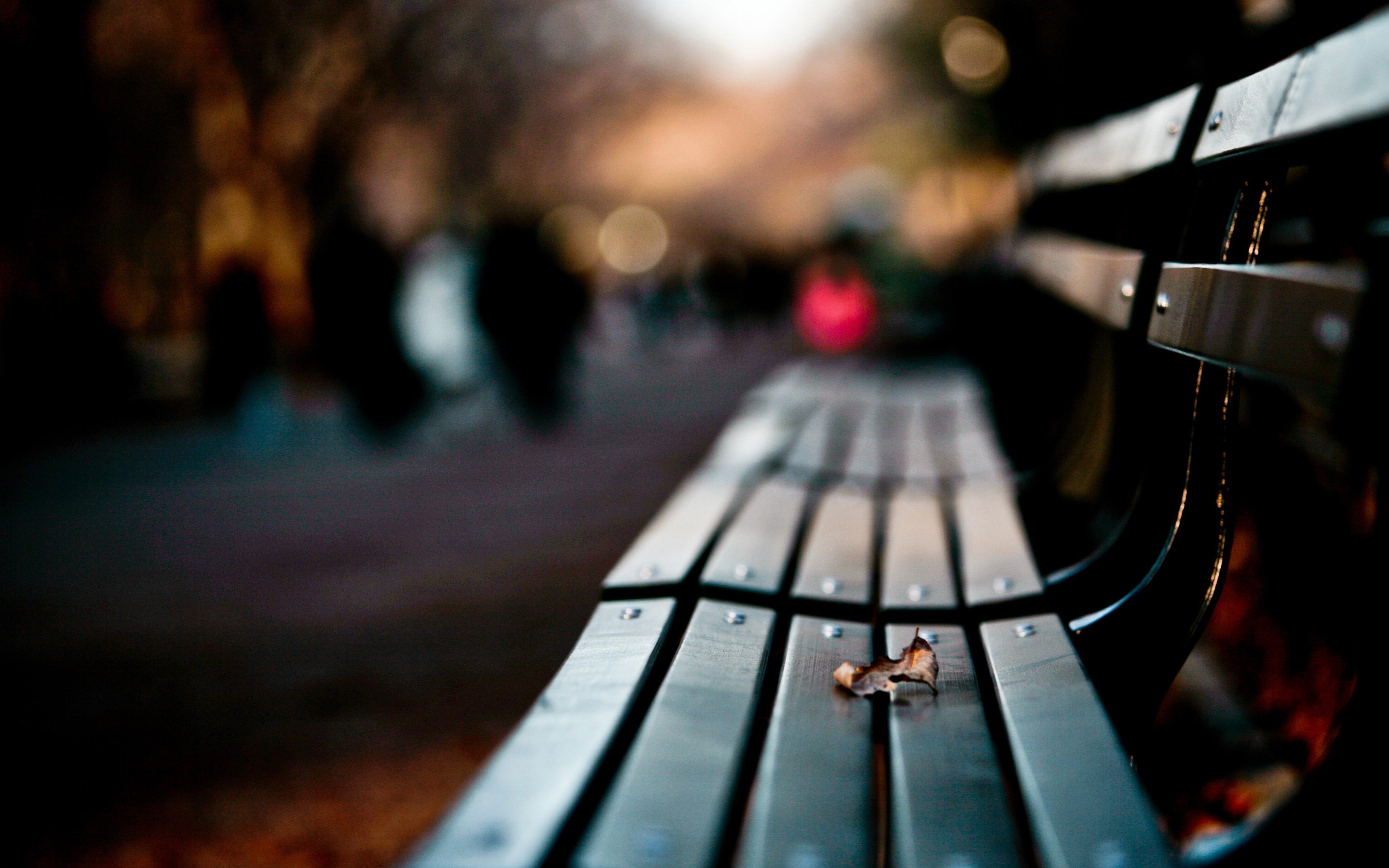 Фото: shutterstock.com