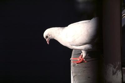 Фото pinterest.com