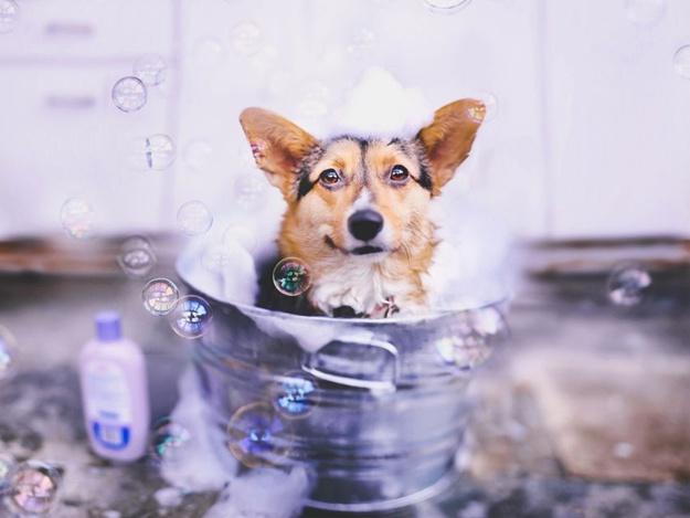 Фото: shutterstock.com