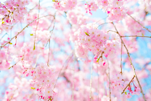 Фото: gettyimages