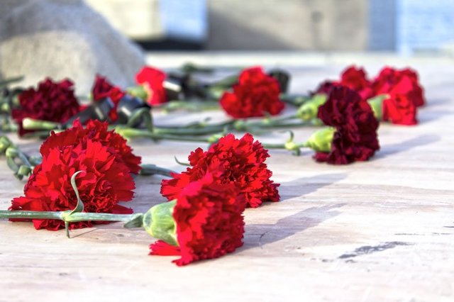 Фото: shutterstock.com