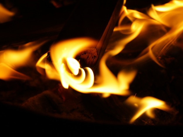 Фото: pixabay.com