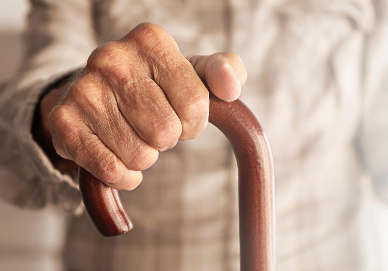 Фото: shutterstock.com