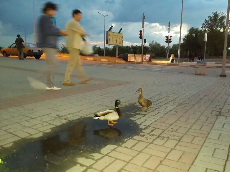 Фото: http://vmestezp.org