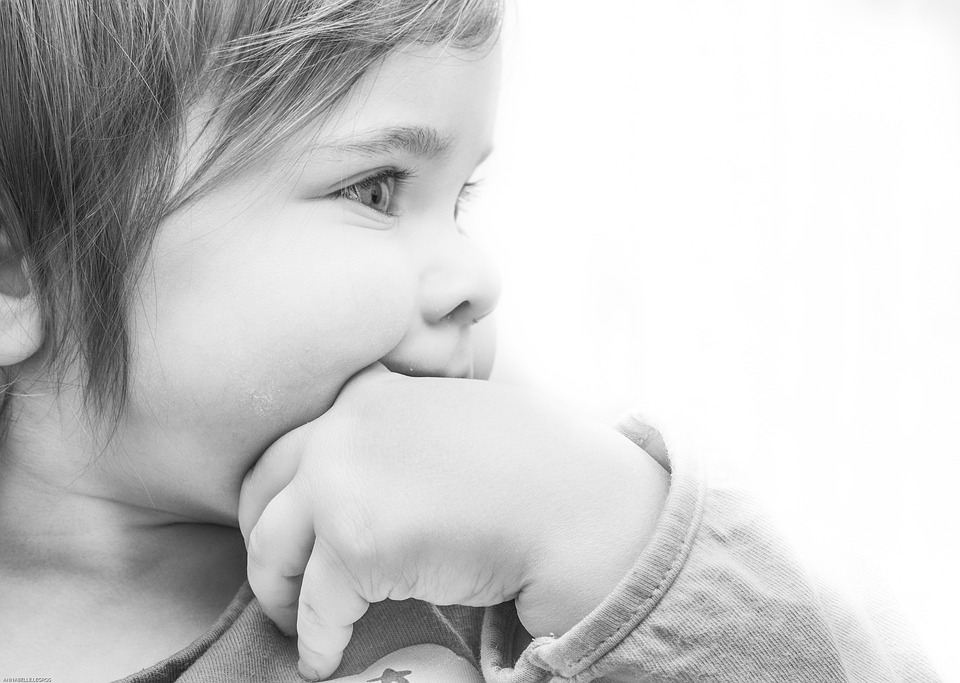 Фото: pixabay.com