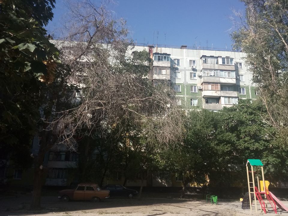 Фото - Сергей Брегеда 