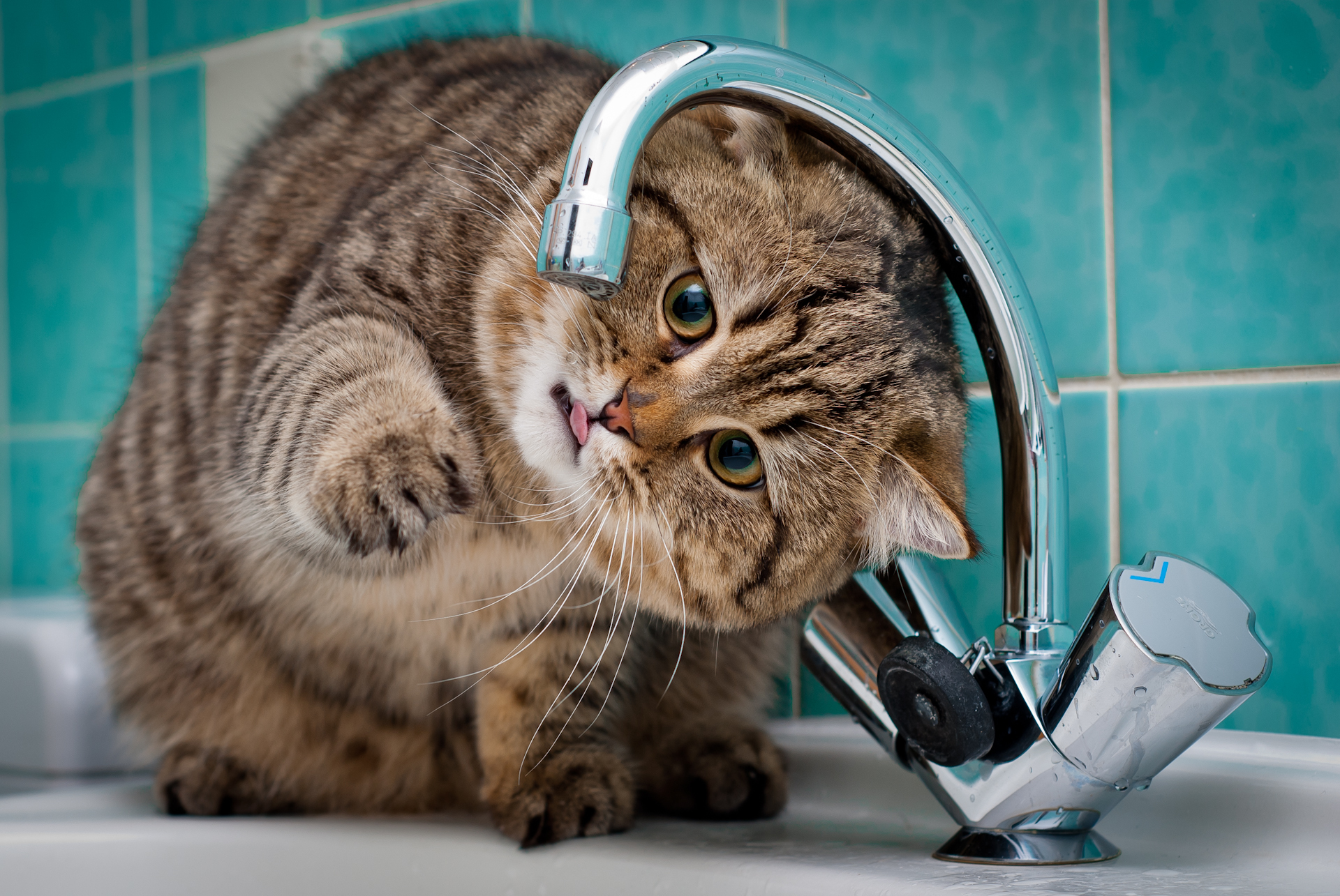 Фото - Flickr