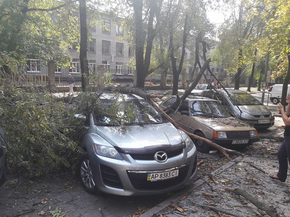 Фото - Кирилл Шашло