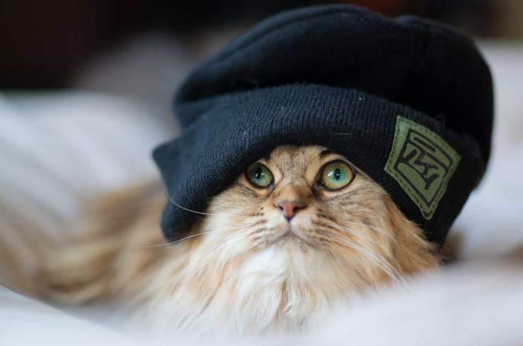 pinster.ru