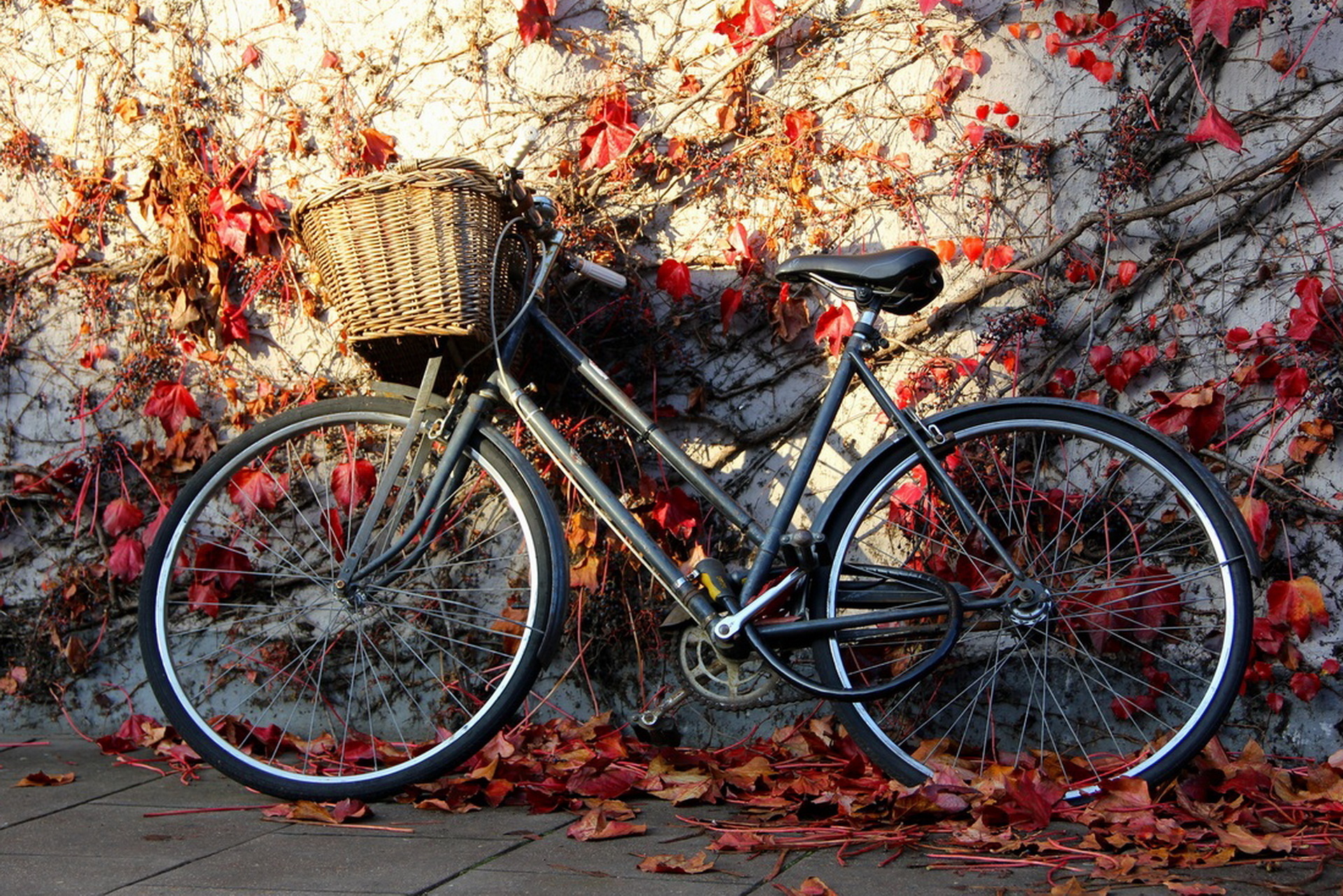 Bicycle. Красивые велосипеды. Красивый красный велосипед. Велосипед красиво. Велосипед на рабочий стол.