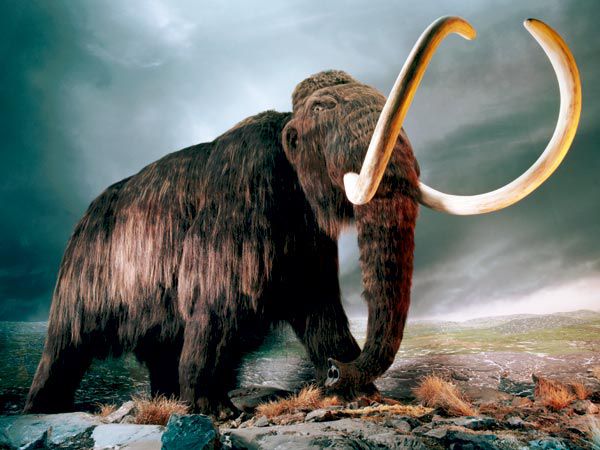 anthropology.net
