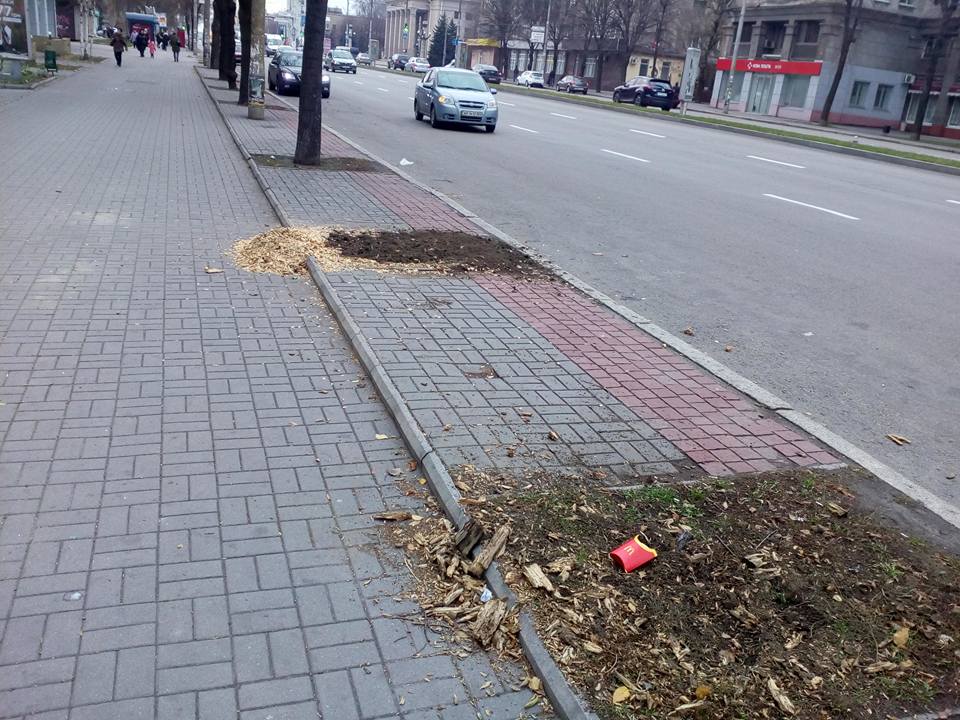 Фото: Денис Кауров
