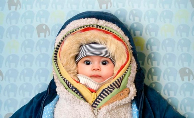 из открытых источников