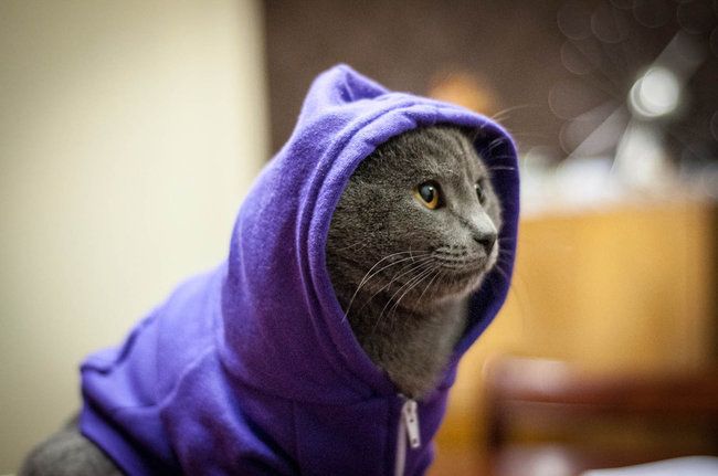 Фото из открытых источников