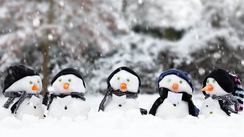 Фото: shutterstock.com