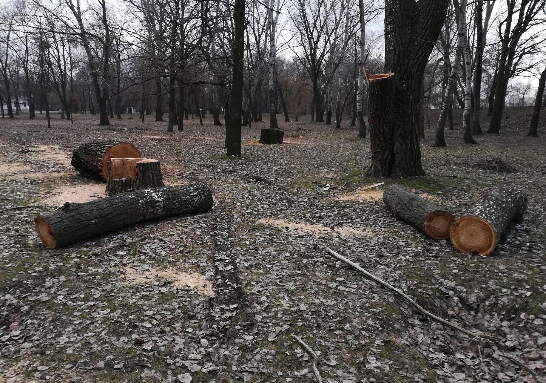 Фото: Павел Панасенко