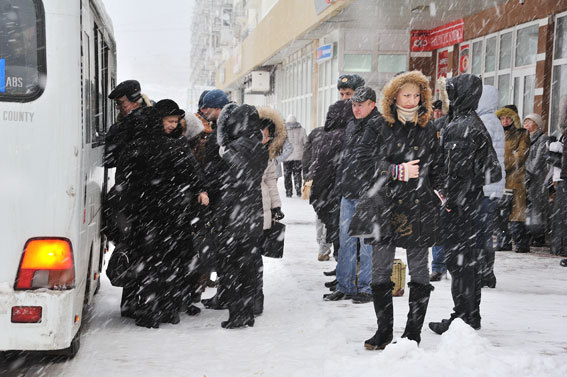 из открытых источников