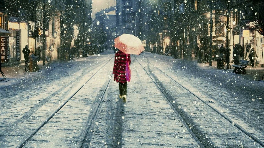Фото: pexels.com