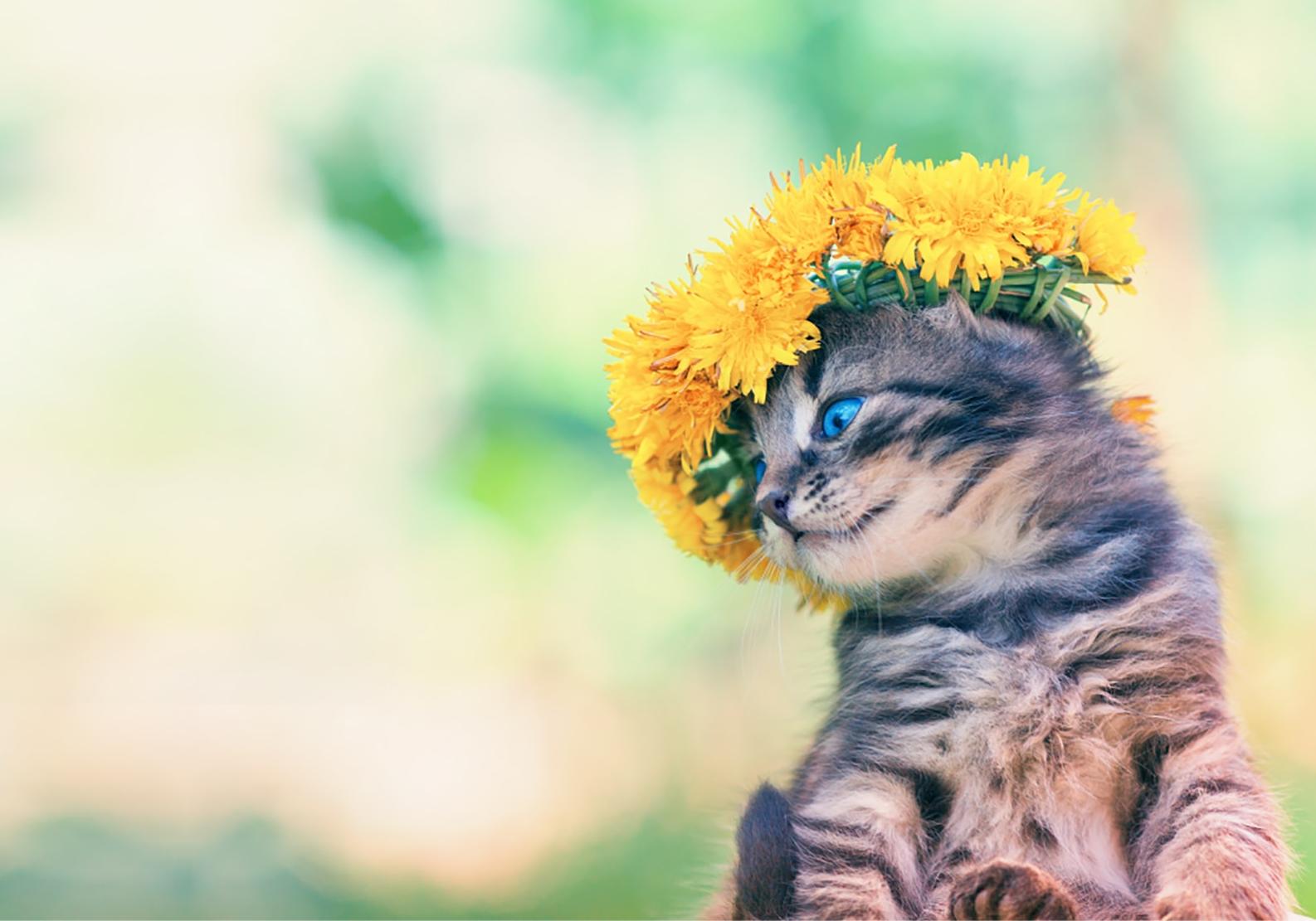 Фото: shutterstock.com