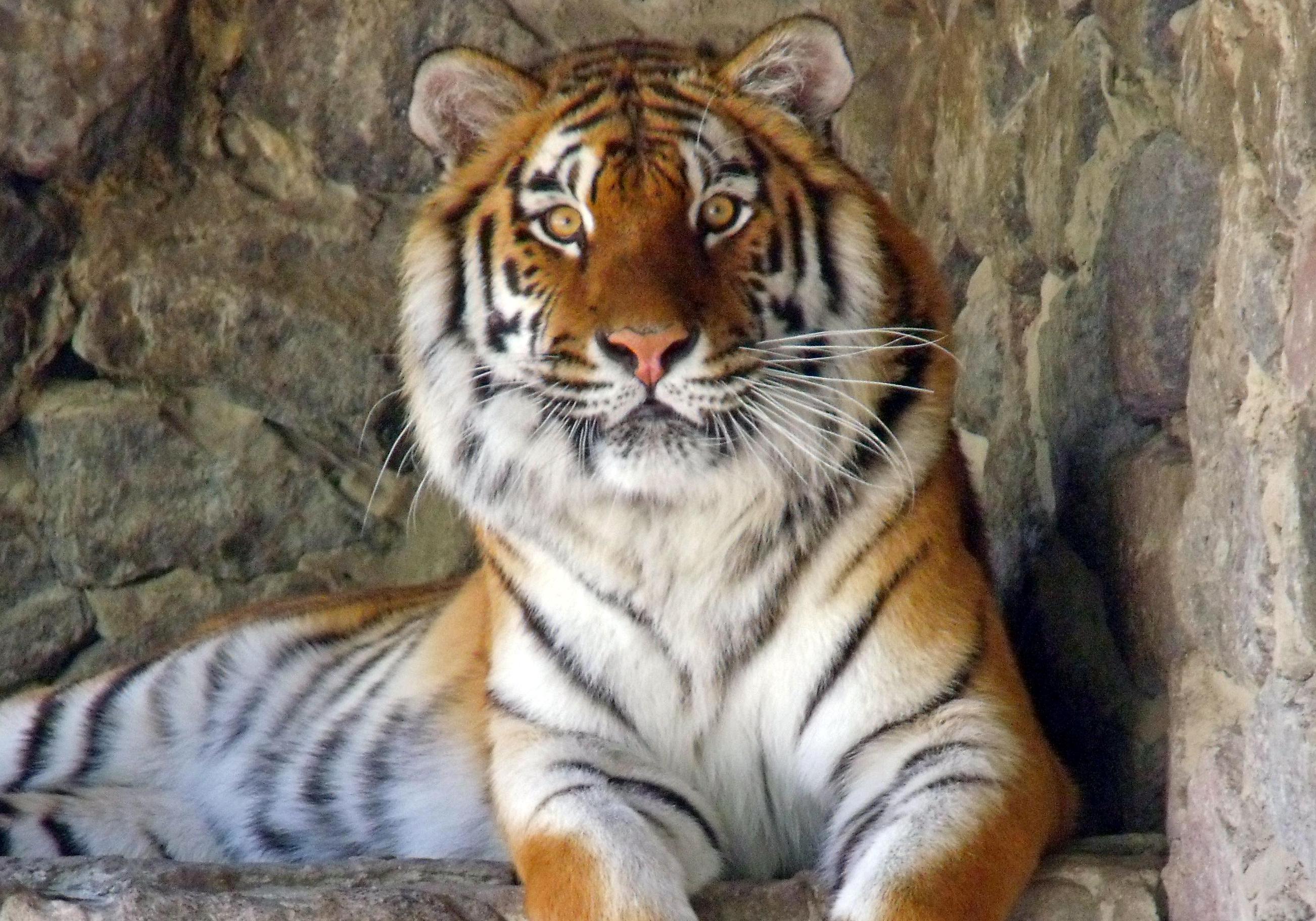 Фото: zoo.kiev.ua