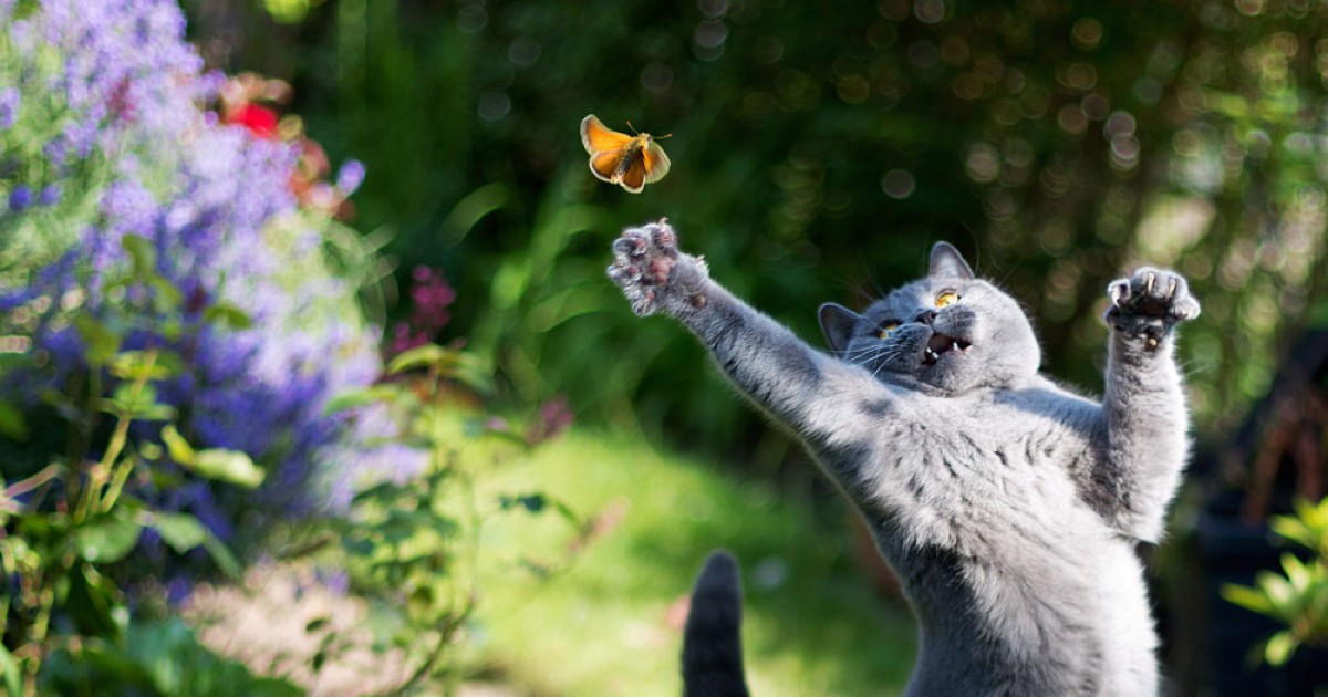 Фото: pixanews.com