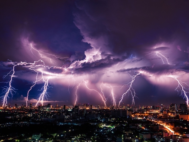 Фото: shutterstock.com