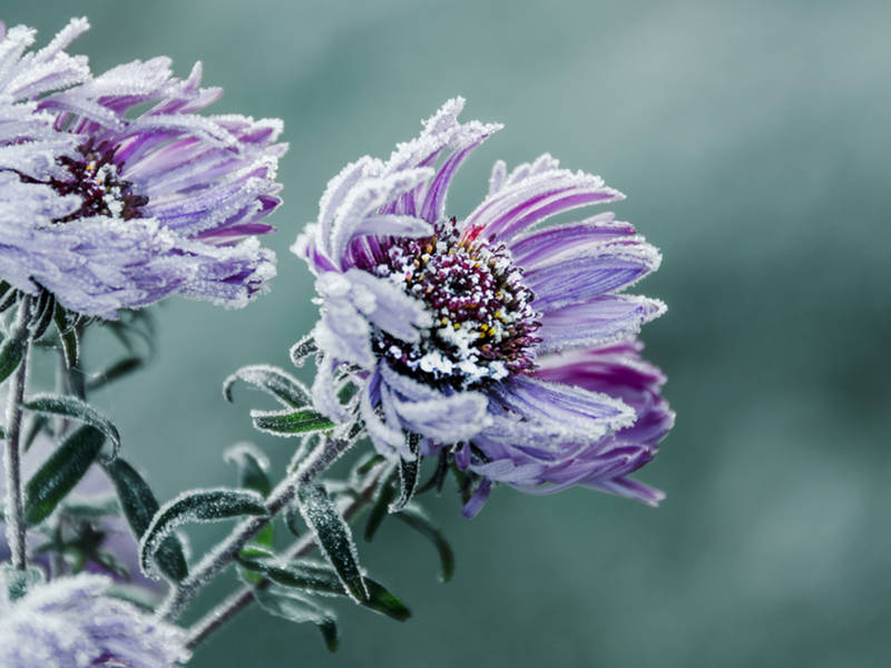 Фото: shutterstock.com