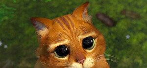 Раскаялся и сдал подельников: воевавший за 