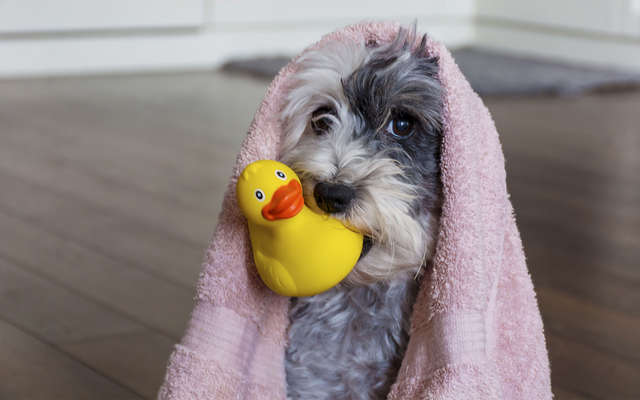 В Александровском районе отключат воду. Фото: shutterstock.com
