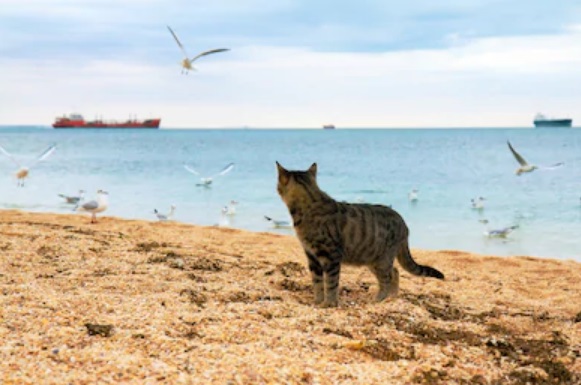 Погода сегодня в Запорожье и на курортах Азовского моря. Фото: shutterstock.com