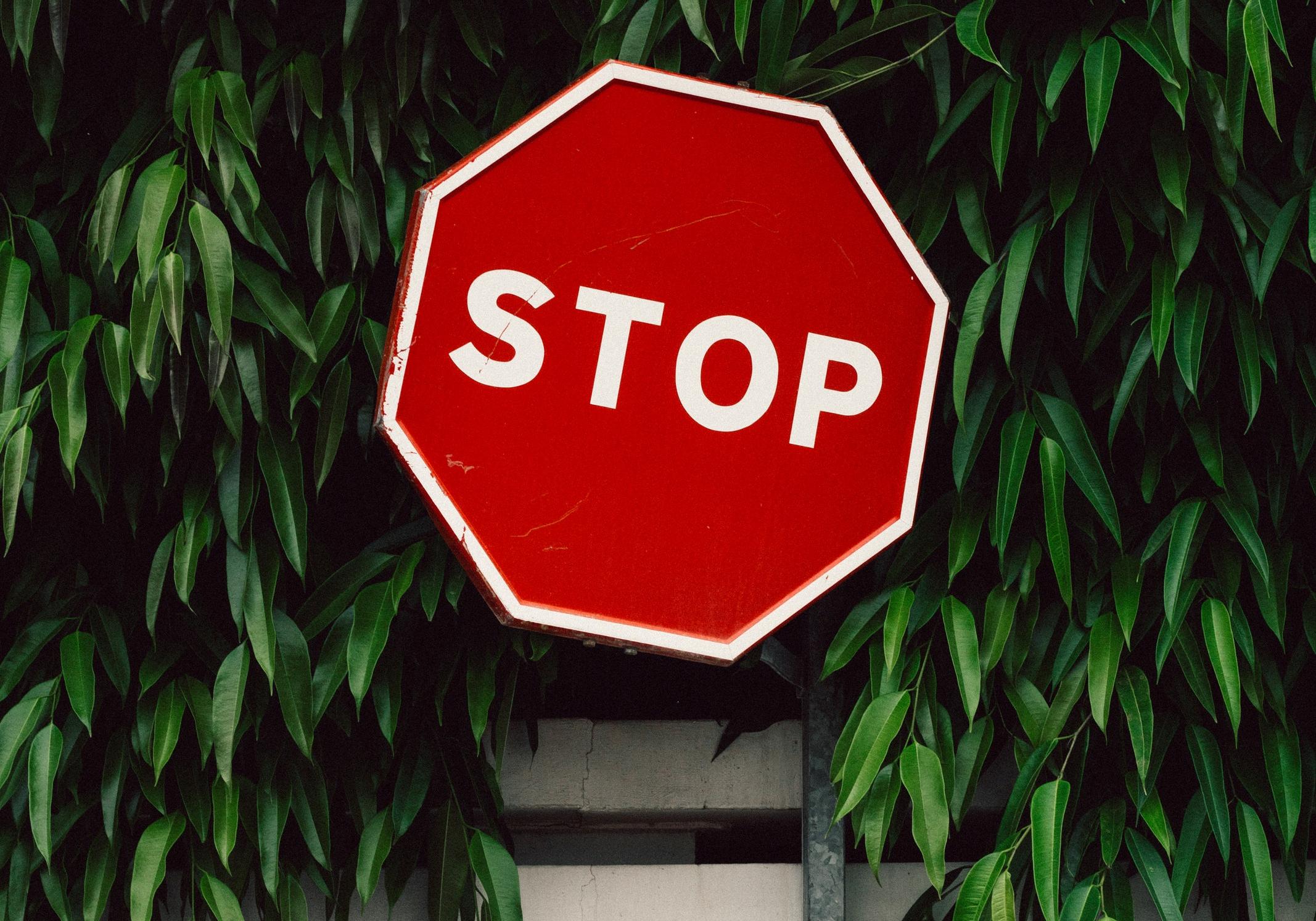 Фото: unsplash.com