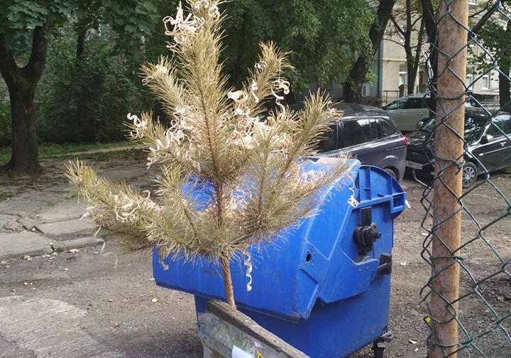 День Незалежності - прекрасний привід нарешті позбутися новорічного дерева. 