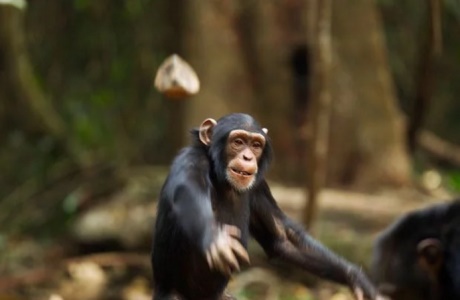 Школьники бросались в охранника камнями. Фото: livejournal.com